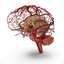 Neurology