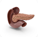 ENDOCRINOLOGY