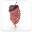 GASTROENTEROLOGY