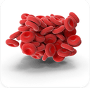 HEMATOLOGY