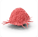 ONCOLOGY