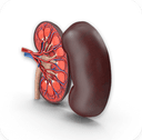 UROLOGY